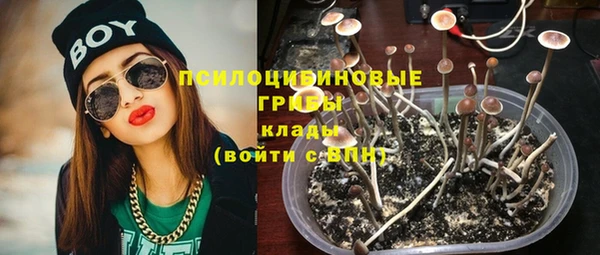 МДПВ Аркадак