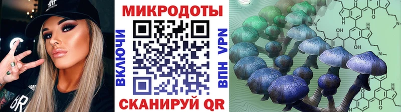 ОМГ ОМГ вход  Белокуриха  Галлюциногенные грибы Cubensis 