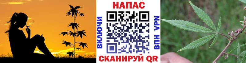 мега как зайти  закладка  Белокуриха  Каннабис тримм 